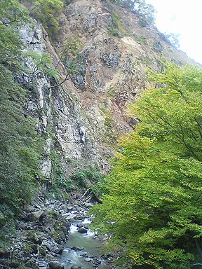 a0096557_8542611.jpg