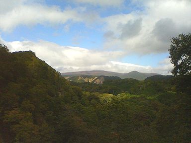 a0096557_9105851.jpg