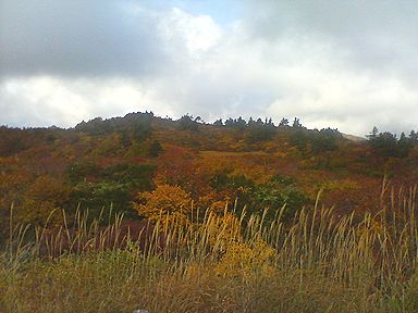 a0096557_9551853.jpg