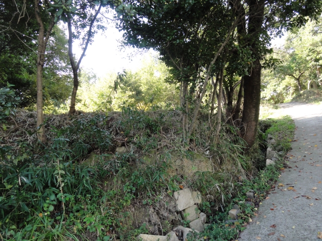 c0108460_17152447.jpg