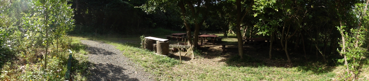 c0108460_17185736.jpg