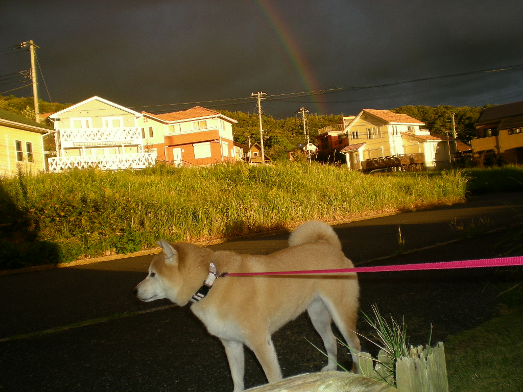 ２０１０年１０月１２日（火）豪雨と虹と晴れ間と！_f0060461_10155121.jpg