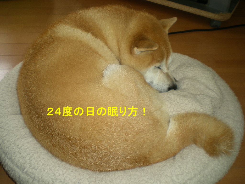 ２０１０年１０月１２日（火）豪雨と虹と晴れ間と！_f0060461_1022126.jpg