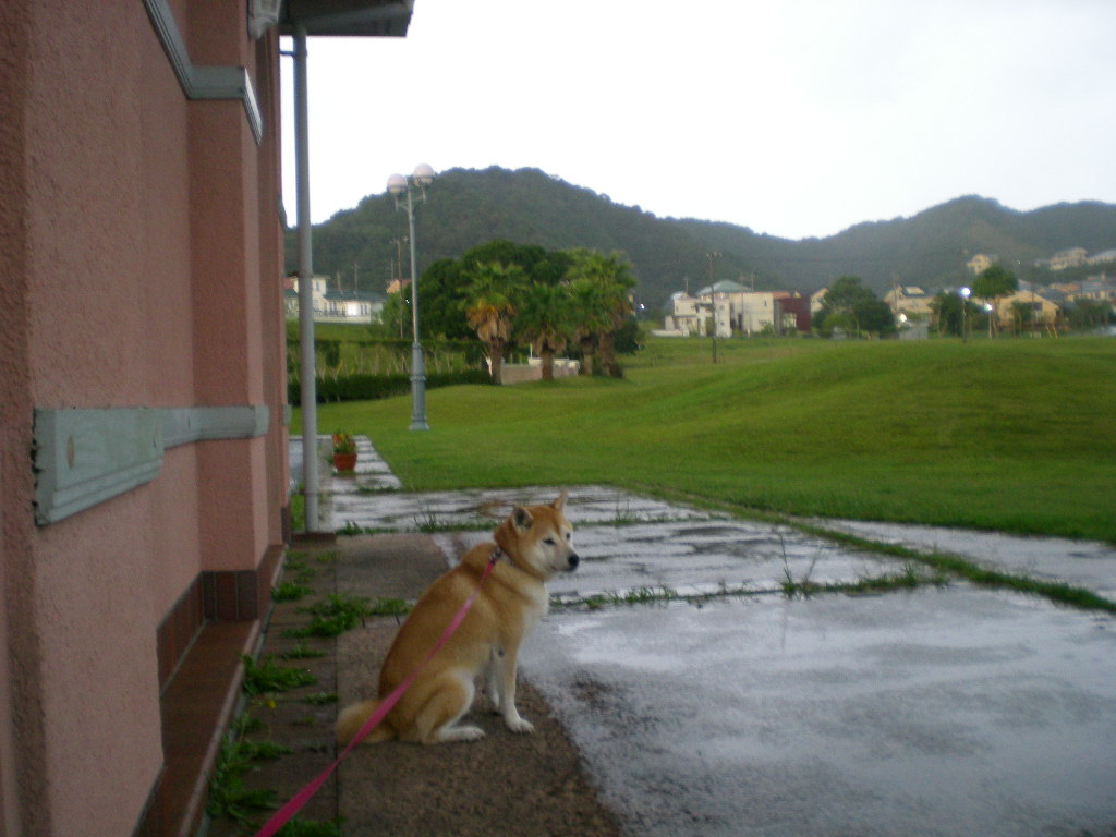 ２０１０年１０月１２日（火）豪雨と虹と晴れ間と！_f0060461_9562534.jpg