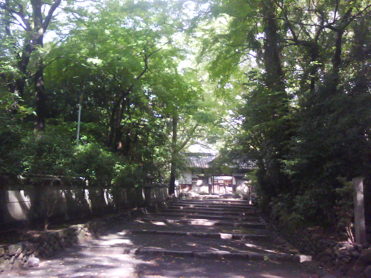 伊居太神社_f0150767_16445490.jpg