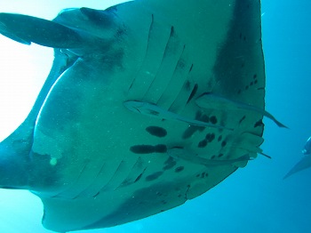 e0096370_18112063.jpg