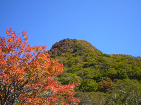 c0040472_23553100.jpg