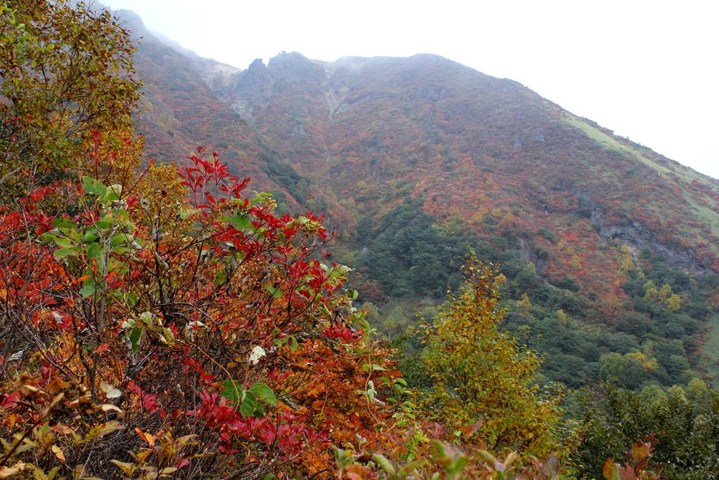那須・茶臼岳(ちゃうすだけ)は雨だった_a0107574_19461323.jpg