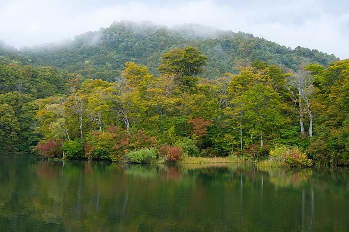 撮影三昧〜雨飾高原鎌池〜_c0085877_725132.jpg