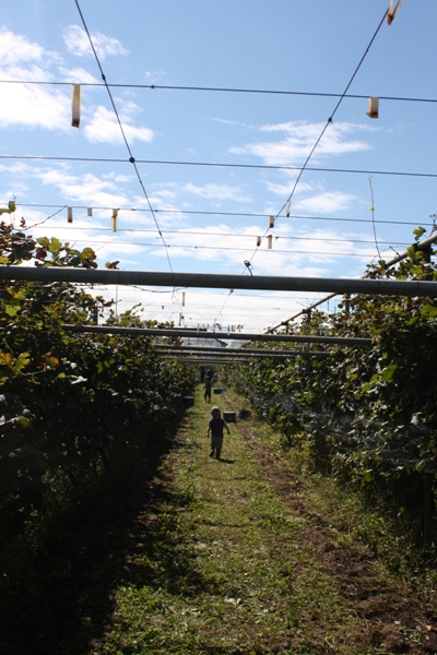 f0120980_11132417.jpg