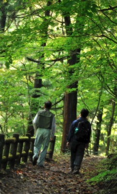 森林セラピーロードを歩きながらの撮影.ゆったりと....._b0194185_21343724.jpg