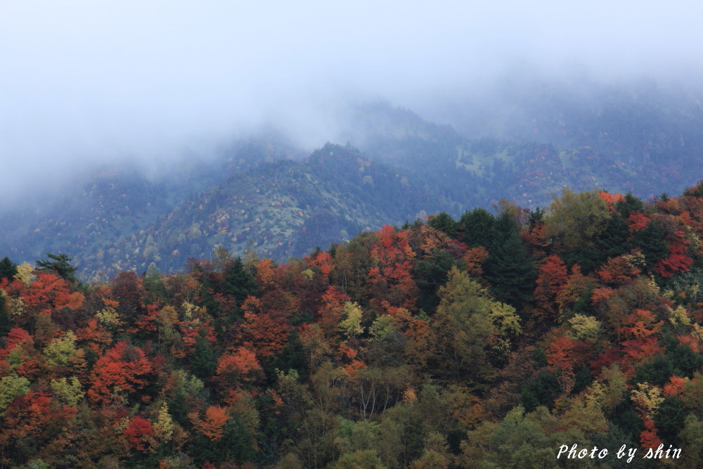 志賀高原の紅葉～笠ケ岳口より_b0189486_2115873.jpg