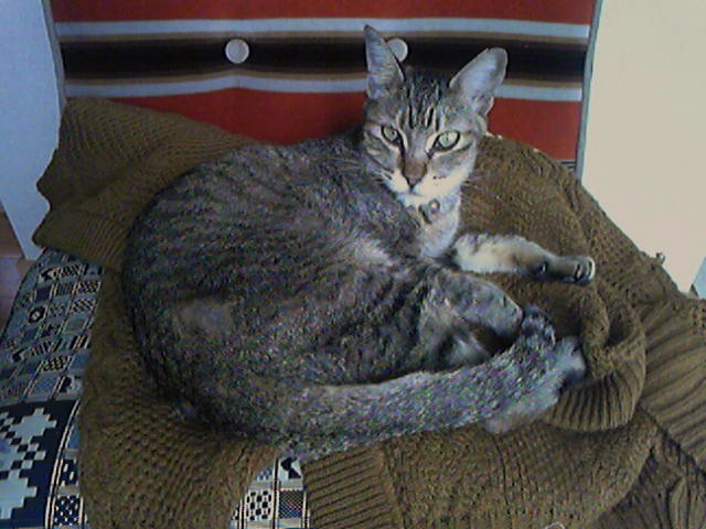 a0105396_10314450.jpg