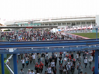 c0212298_4165688.jpg