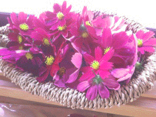 my wild garden 5_f0026299_109121.gif