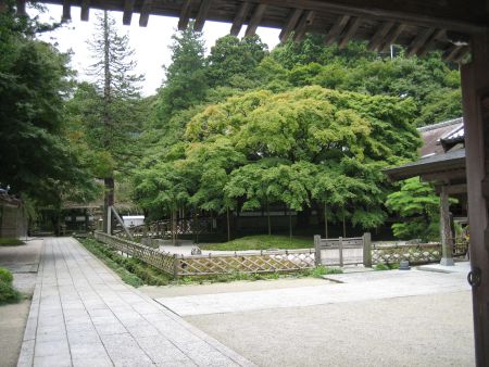 f0036700_15585162.jpg