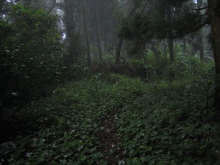 f0036700_1602726.jpg