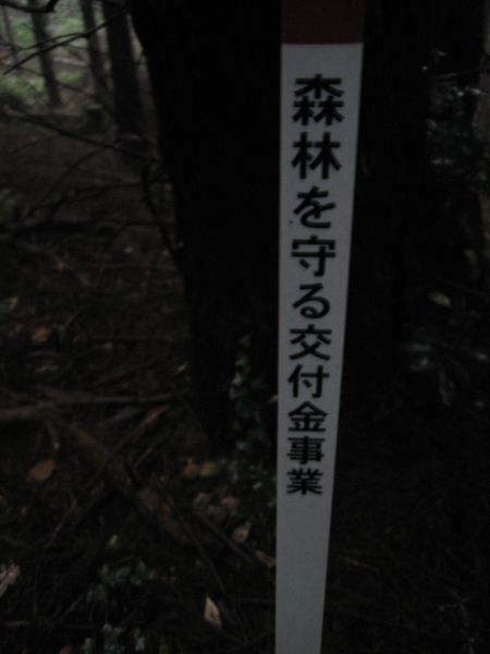 f0036700_1603523.jpg