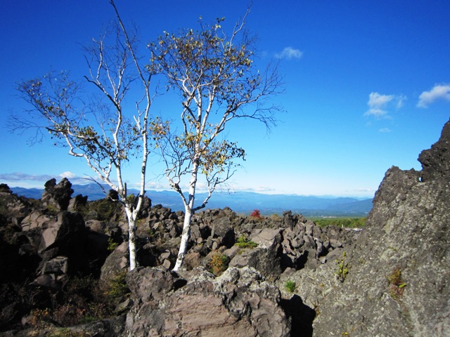 c0125702_13152690.jpg