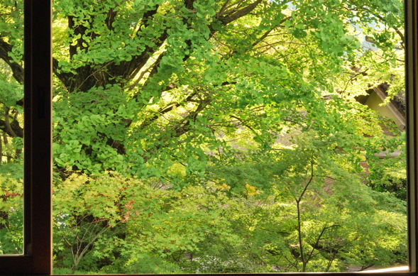 e0001406_17112436.jpg