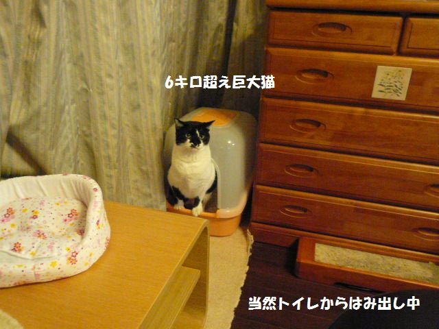 e0094407_14335547.jpg