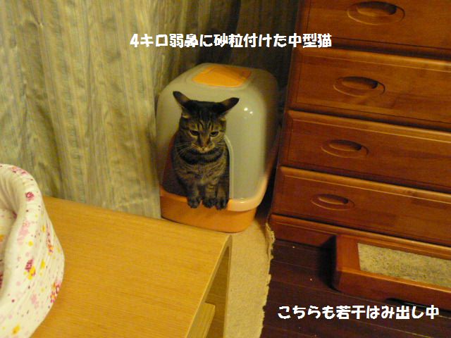 e0094407_1434337.jpg