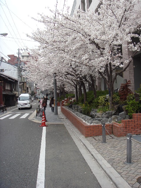 d0168411_1114077.jpg