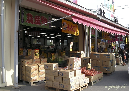 吉田のうどんが食べたい・・で・・甲府へ_c0196414_1839056.jpg