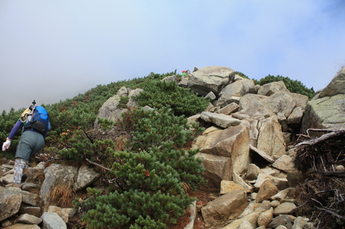 b0093515_7295347.jpg