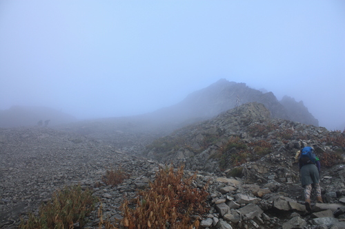 b0093515_7354525.jpg