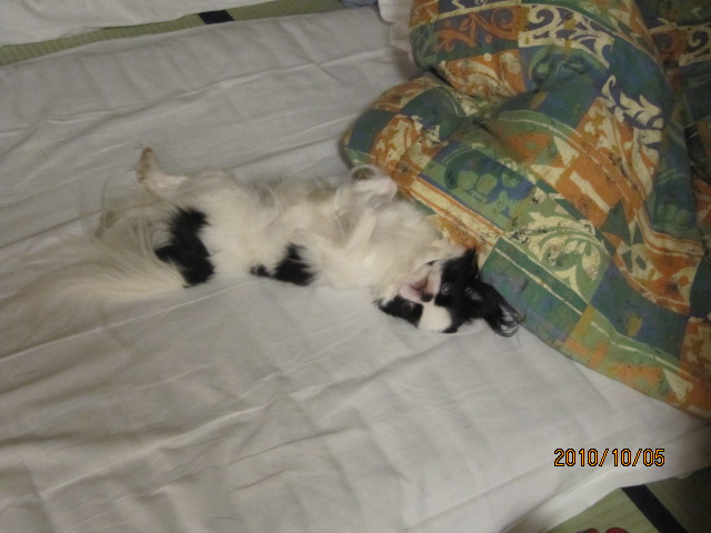 c0200916_23401657.jpg