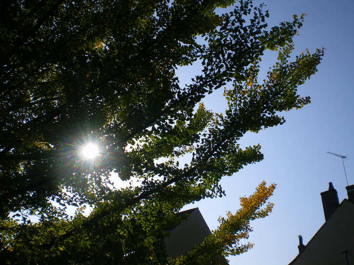 c0124619_16395266.jpg
