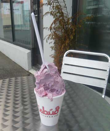 ビョークの自宅の窓にはムーミンが。家庭料理でリラックスのアイスランド滞在_c0003620_74197.jpg