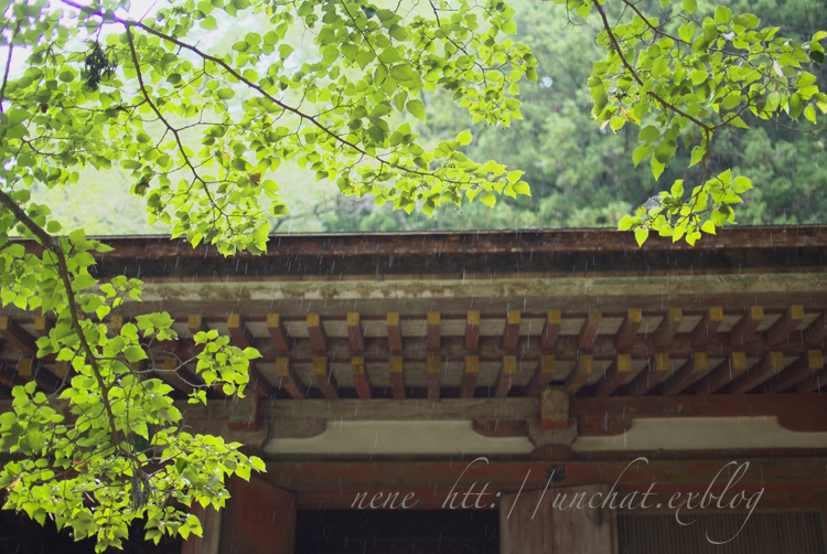 雨の室生寺_c0154732_20541771.jpg