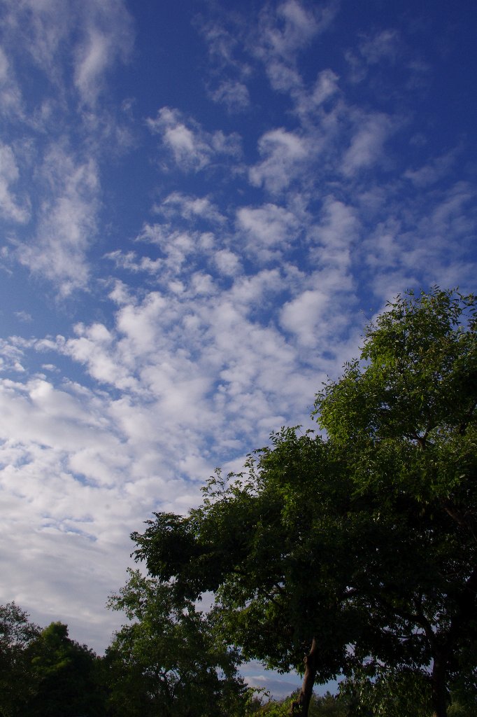 c0113733_0215858.jpg