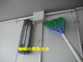 作業諸々_f0031037_19482616.jpg