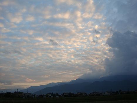 a0014840_129082.jpg