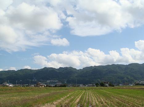 a0014840_2316766.jpg