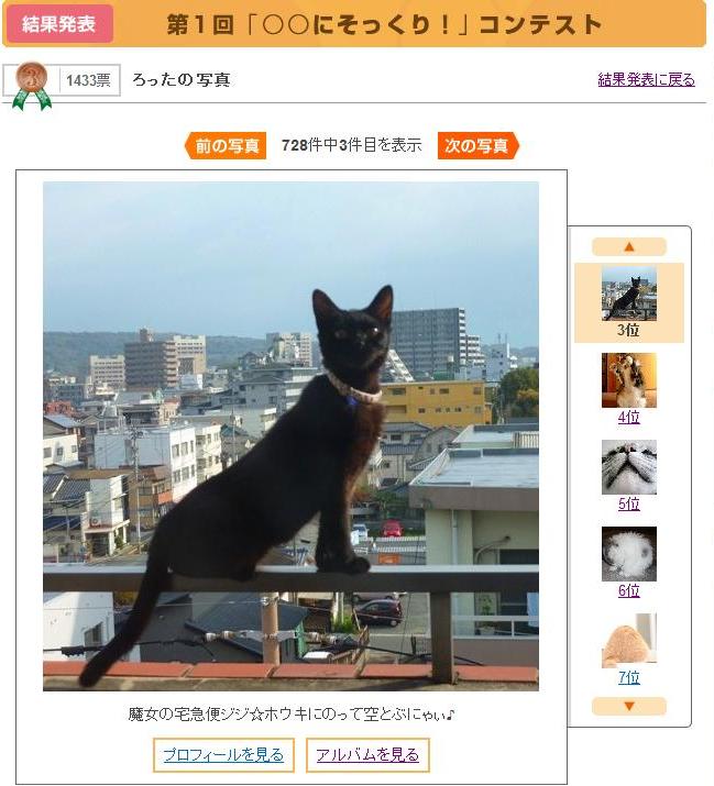 Yahoo!ペット「第1回○○にそっくり!」フォトコンテスト第3位猫。_a0143140_2144390.jpg