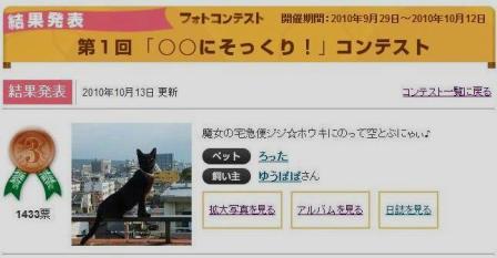 Yahoo!ペット「第1回○○にそっくり!」フォトコンテスト第3位猫。_a0143140_2191329.jpg
