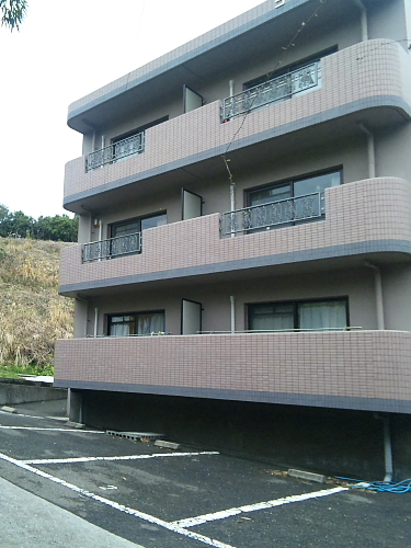 高知大医学部看護学部マンション（すばるねこ）_e0196845_1620267.jpg