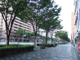 b0186148_15344921.gif