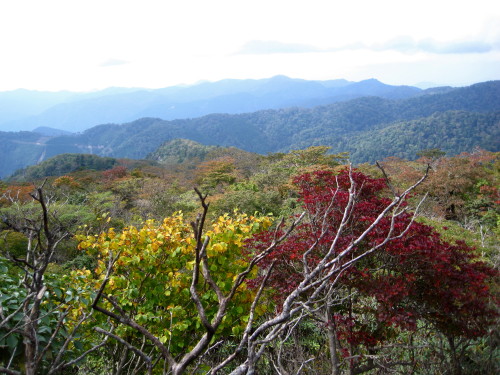 １０６回　１４９座　２０１０年１０月１１日　脊梁　烏帽子岳　五勇岳　国見岳_c0179351_1223822.jpg