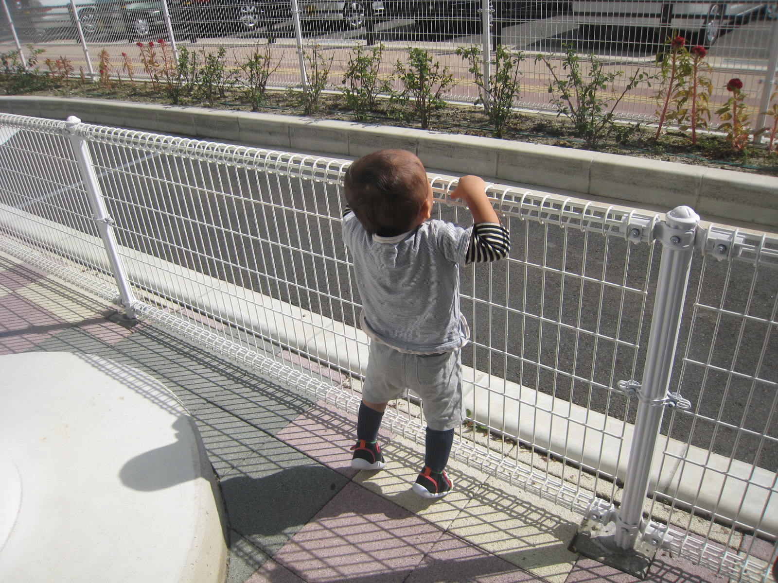 息子氏、1歳半に(T-T) ウルウル_f0109257_353235.jpg