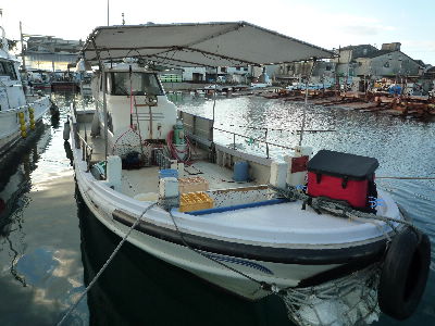 船アオリ釣行 魚英 かめちゃんの とりあえず行っとこか 船アオリ釣行 魚英 かめちゃんの とりあえず行っとこか