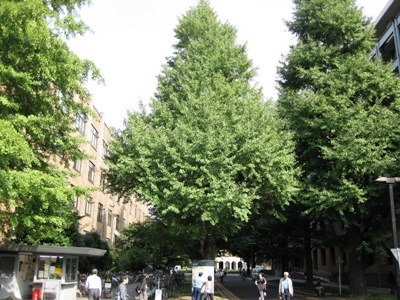 c0190960_20504381.jpg