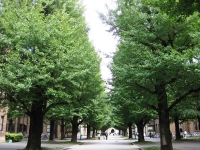 c0190960_205127.jpg