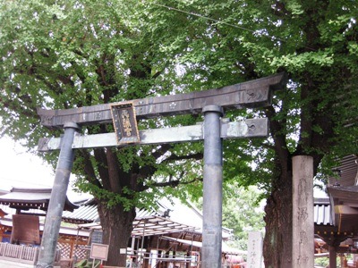 c0190960_20514564.jpg
