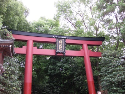 c0190960_2053630.jpg