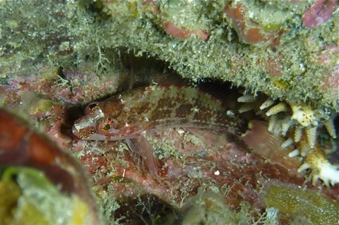e0158261_2139044.jpg
